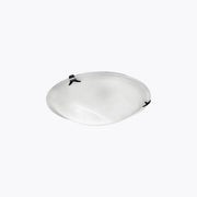 Lámpara LED Plafón techo sobreponer Jade Cosmo s/foco MQ04016